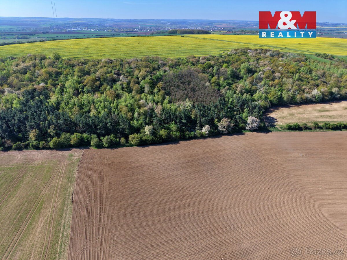 Prodej lesa, 5857 m², Kounice