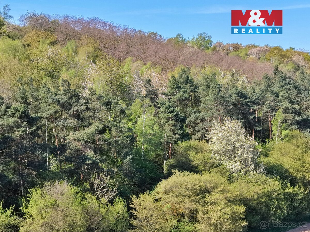 Prodej lesa, 5857 m², Kounice