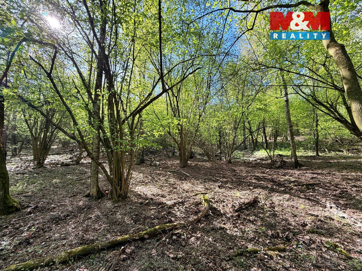 Prodej lesa, 5857 m², Kounice