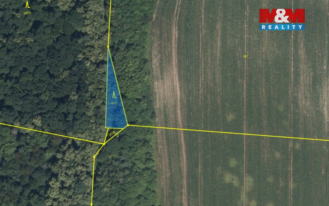 Prodej lesa, 5857 m², Kounice