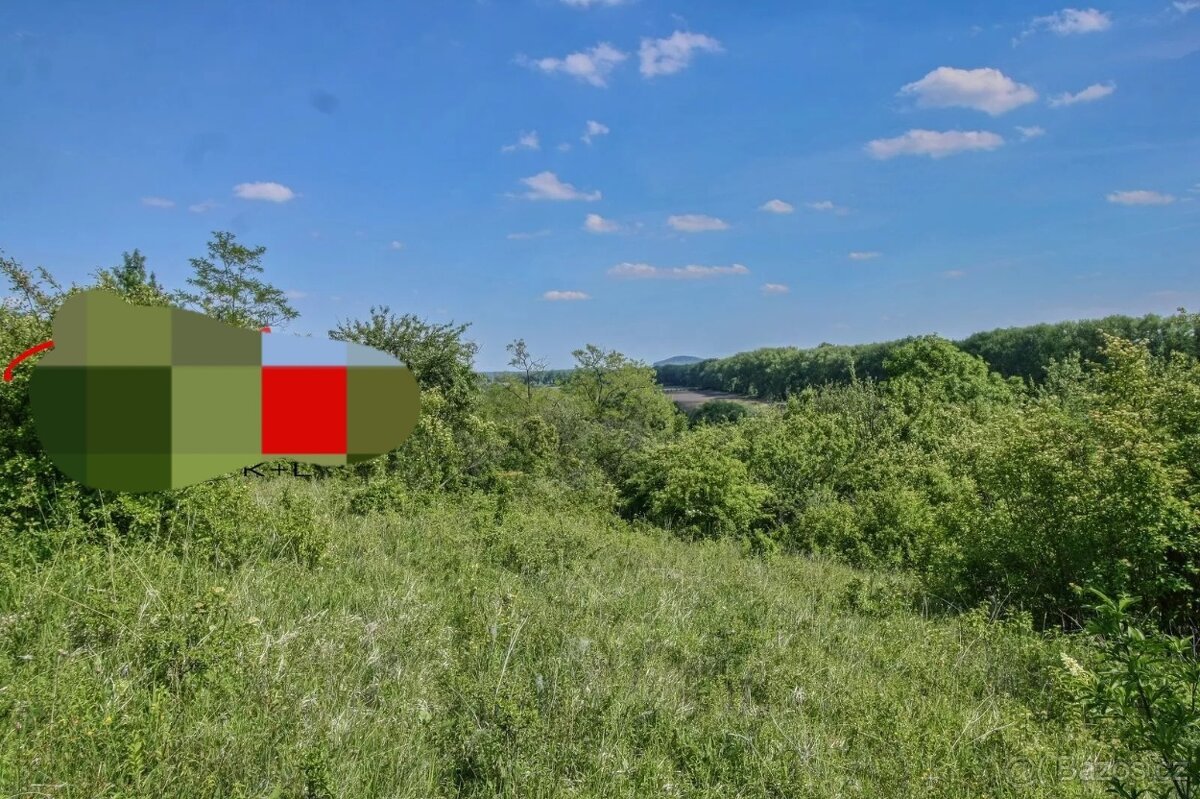 Zahrada,pozemek..