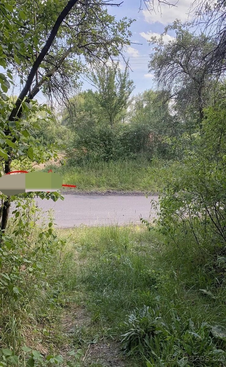 Zahrada,pozemek..
