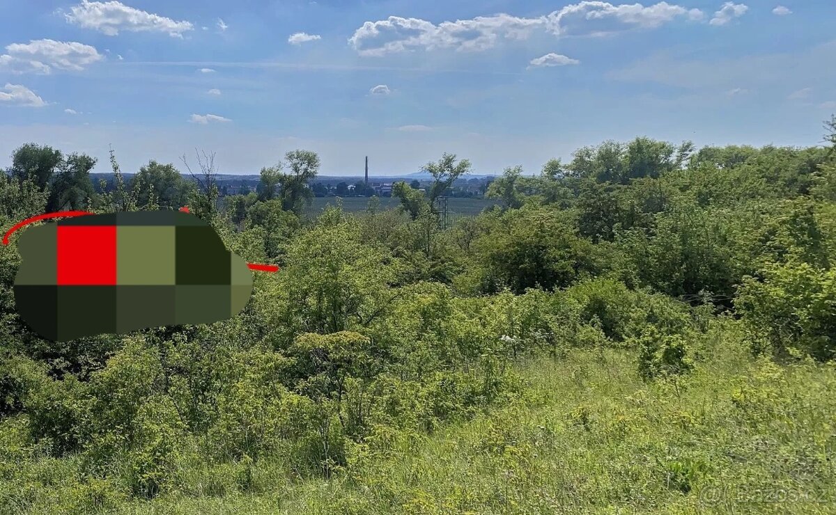 Zahrada,pozemek..