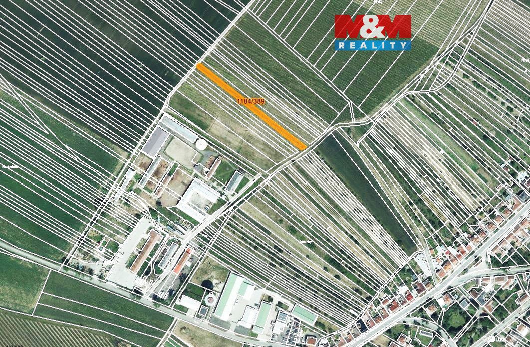 Prodej vinice, 226 m², Týnec na Moravě