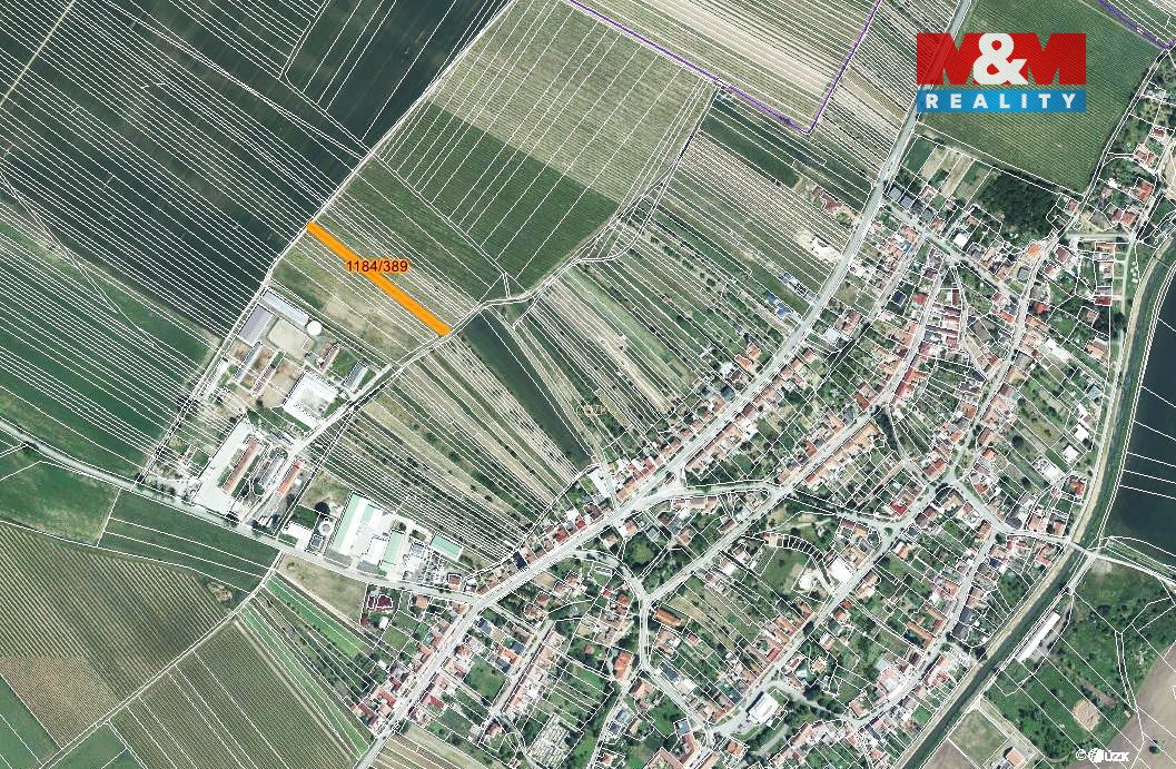 Prodej vinice, 226 m², Týnec na Moravě