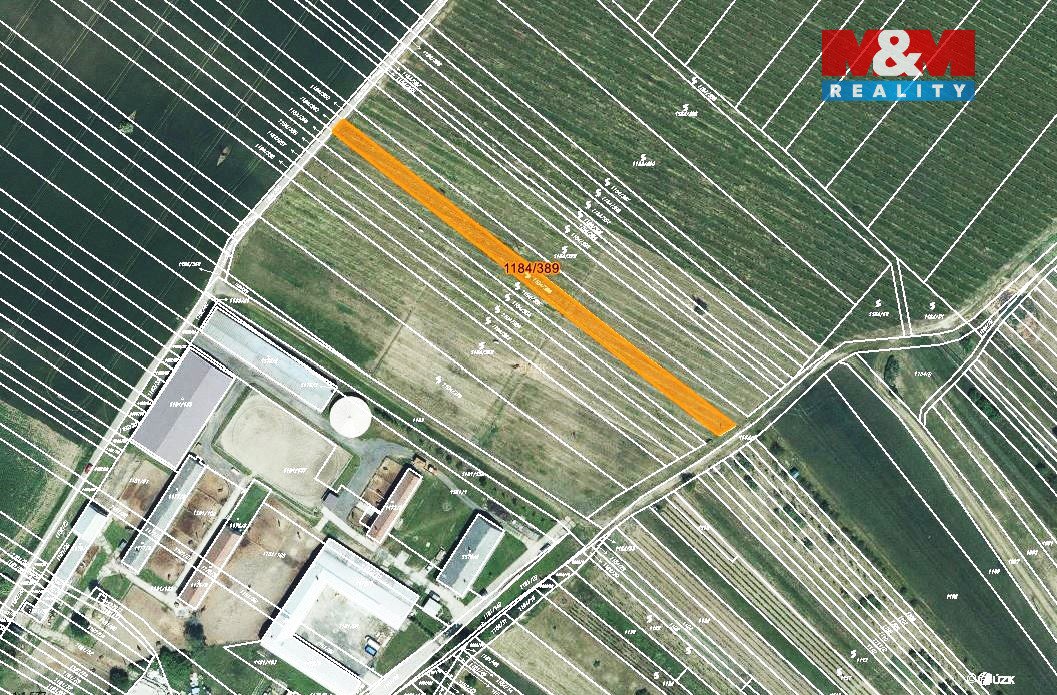Prodej vinice, 226 m², Týnec na Moravě