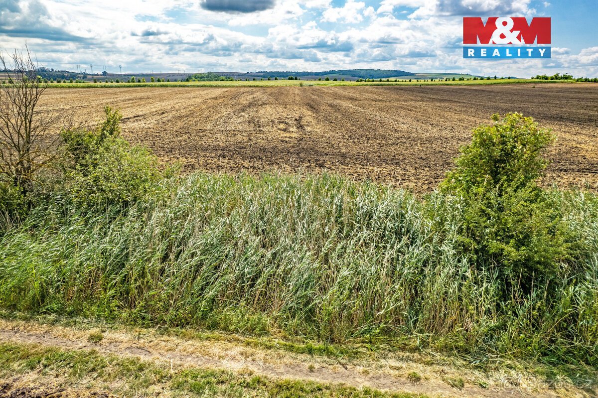 Prodej pole, 25.490 m², Žatčany