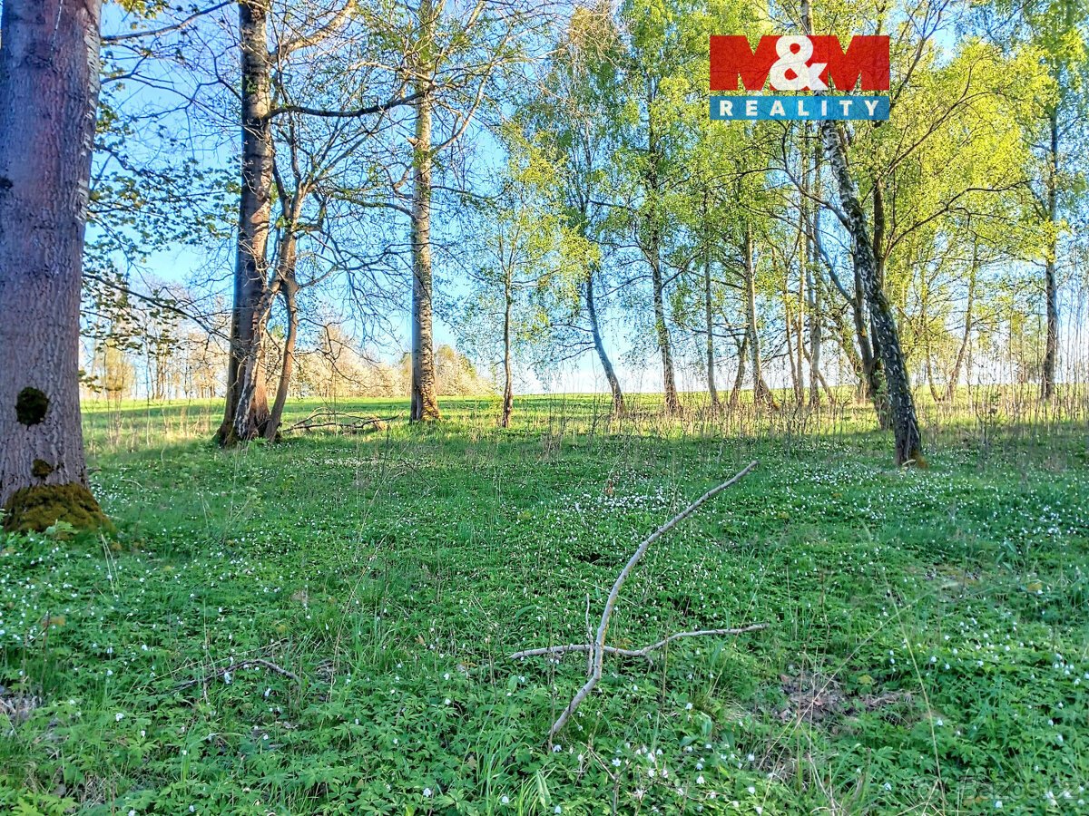 Prodej pozemku k bydlení v Staré Vodě, 2966 m2