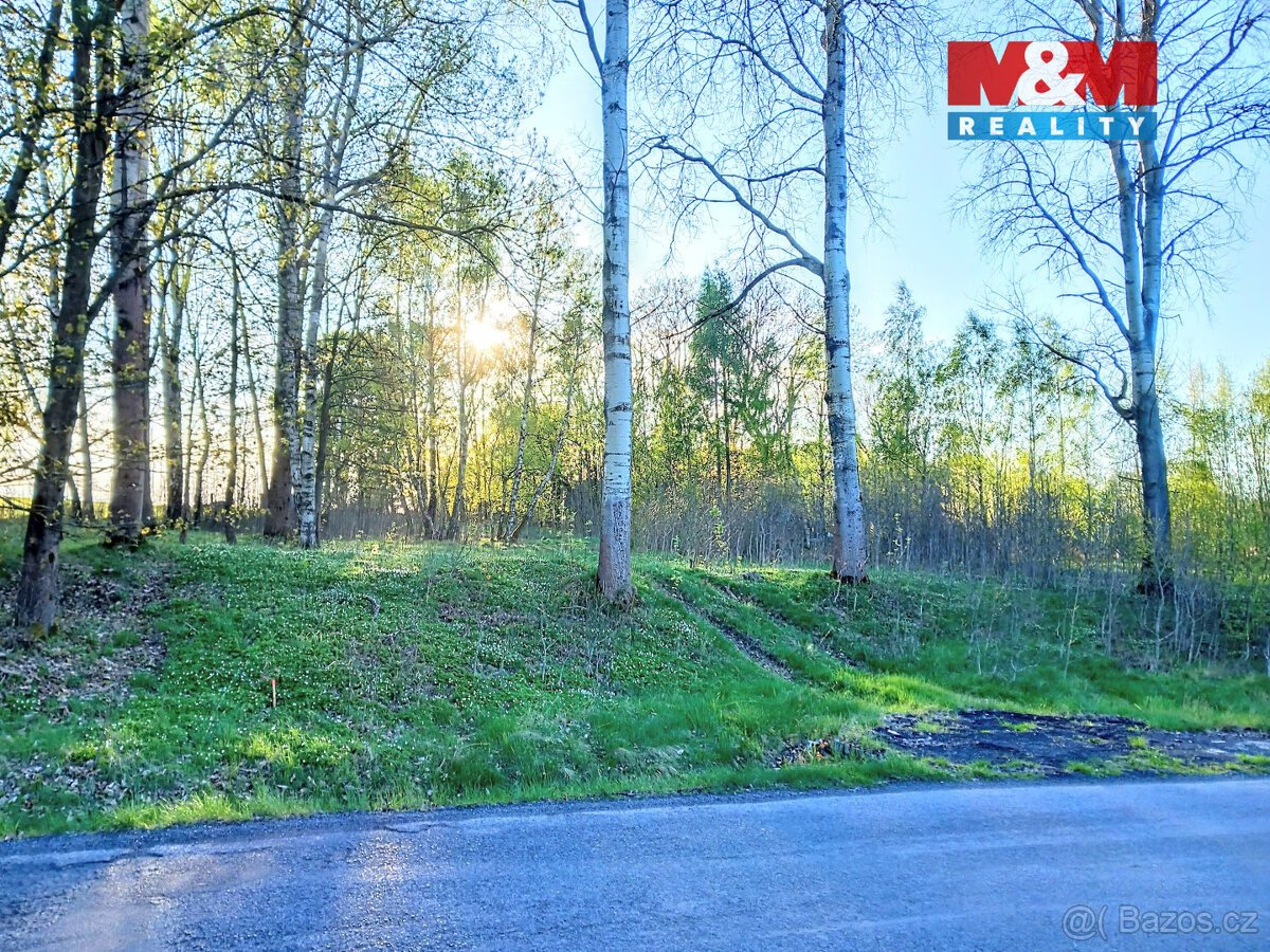 Prodej pozemku k bydlení v Staré Vodě, 2966 m2