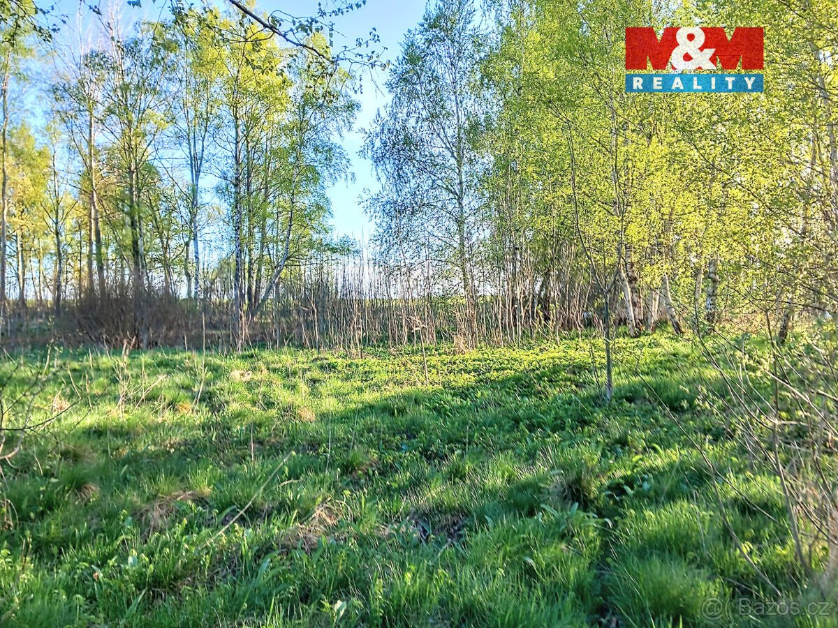Prodej pozemku k bydlení v Staré Vodě, 2966 m2
