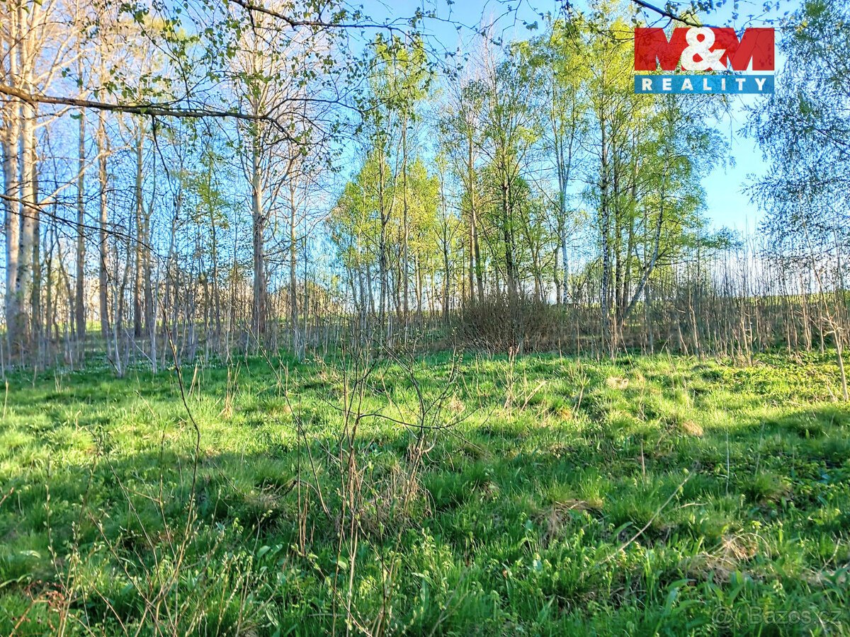 Prodej pozemku k bydlení v Staré Vodě, 2966 m2
