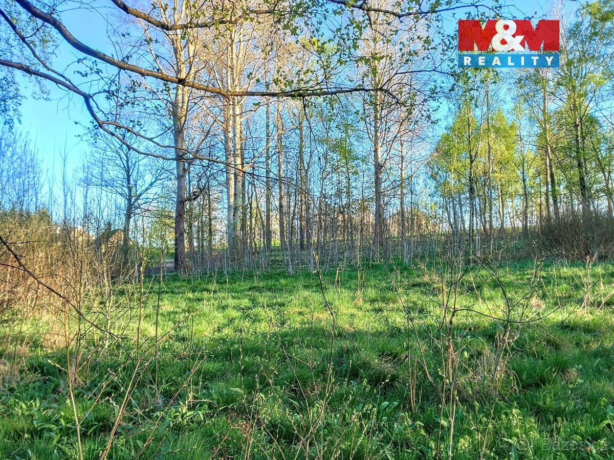 Prodej pozemku k bydlení v Staré Vodě, 2966 m2