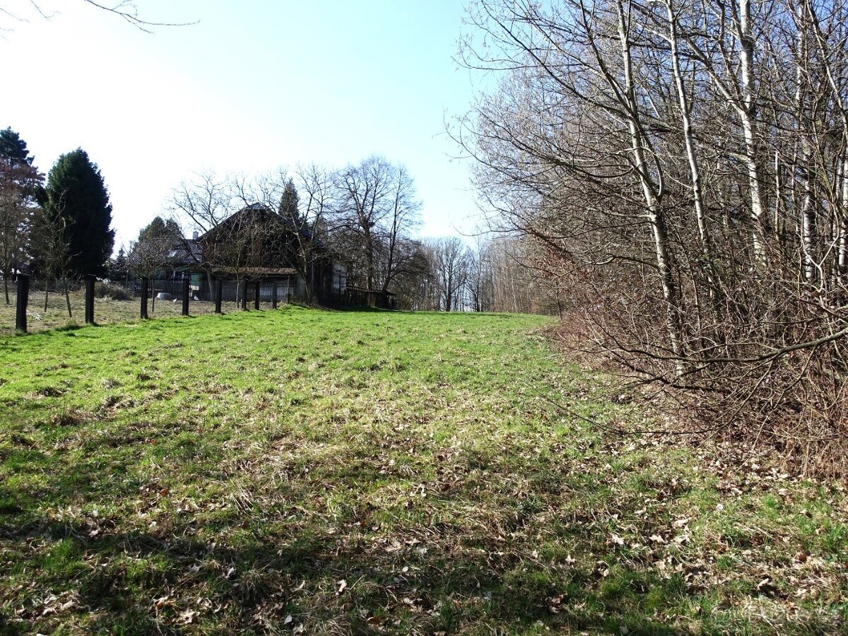 Prodej louky s kouskem lesa, 6013 m²