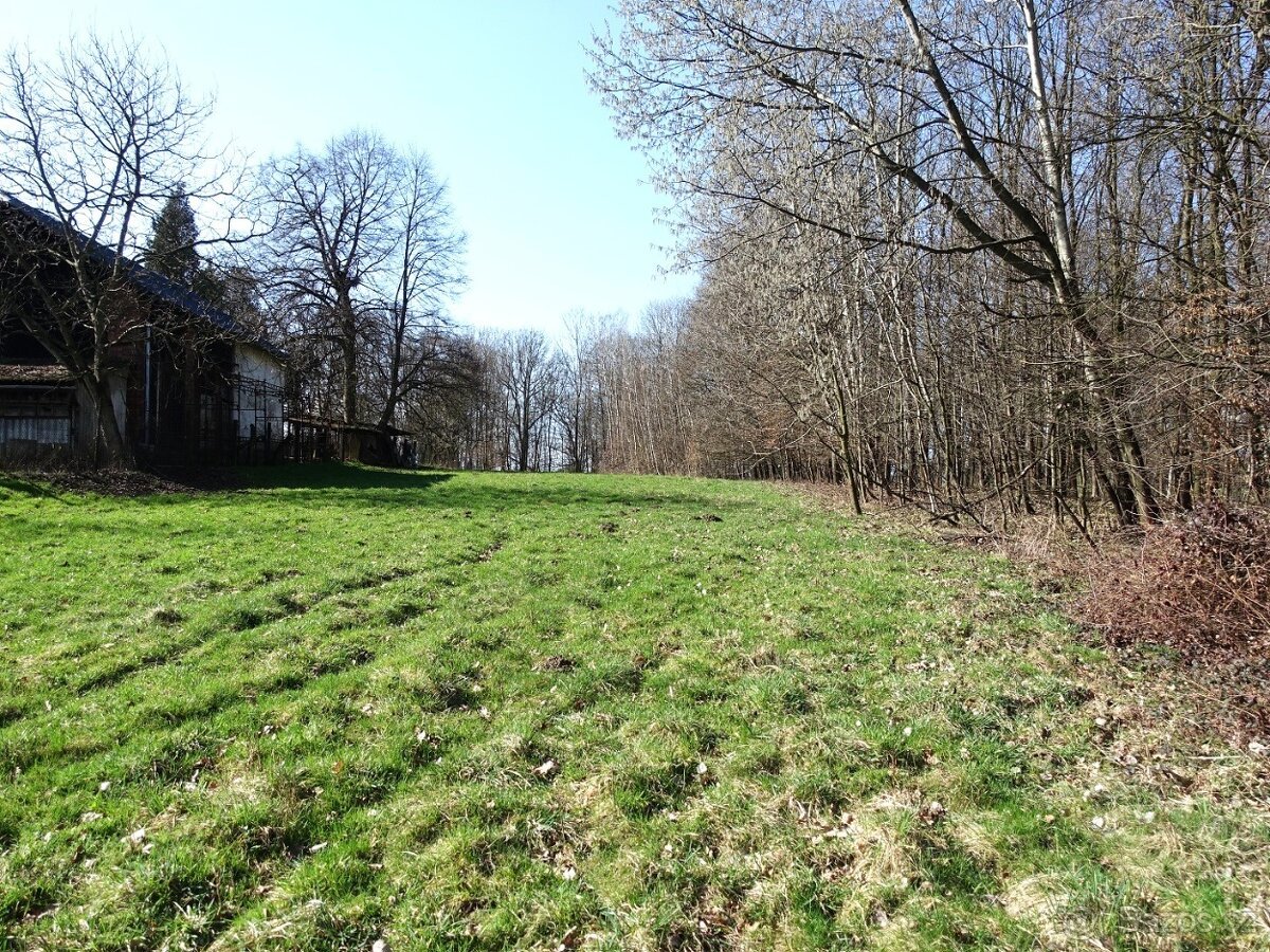 Prodej louky s kouskem lesa, 6013 m²