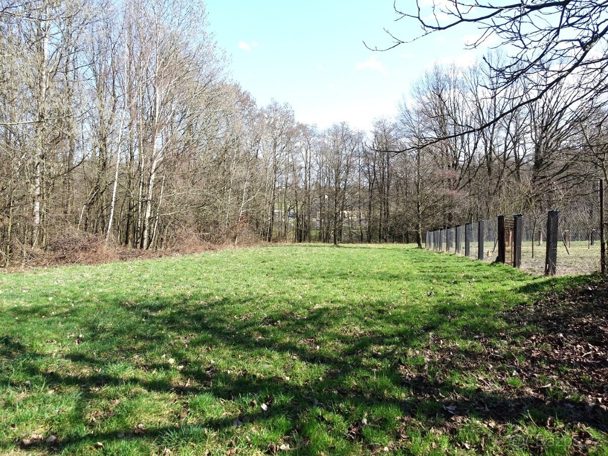 Prodej louky s kouskem lesa, 6013 m²