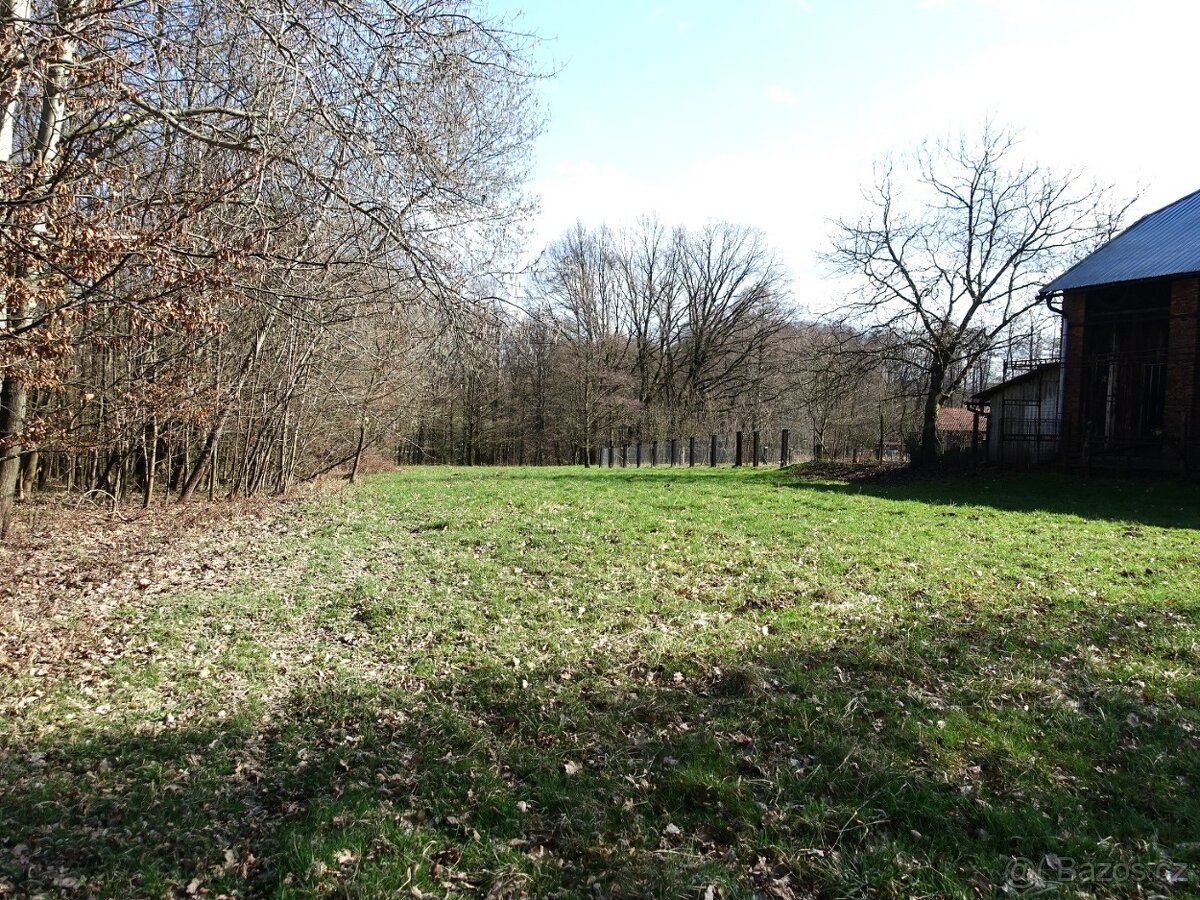 Prodej louky s kouskem lesa, 6013 m²