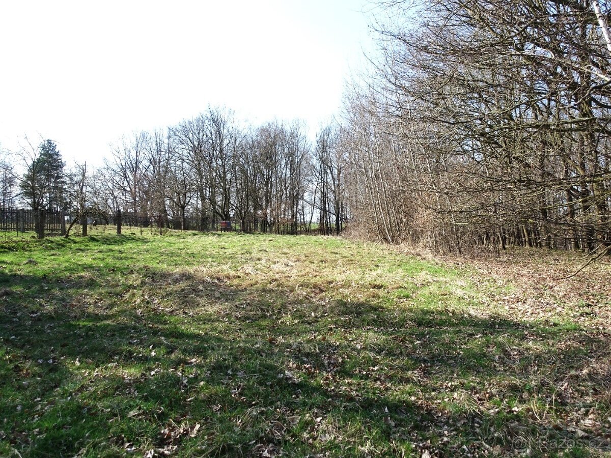 Prodej louky s kouskem lesa, 6013 m²