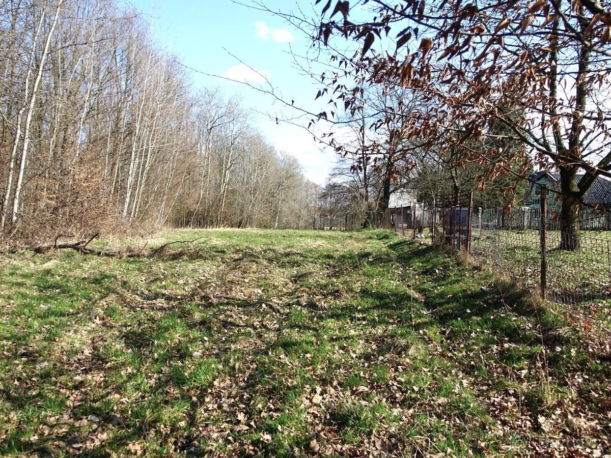 Prodej louky s kouskem lesa, 6013 m²
