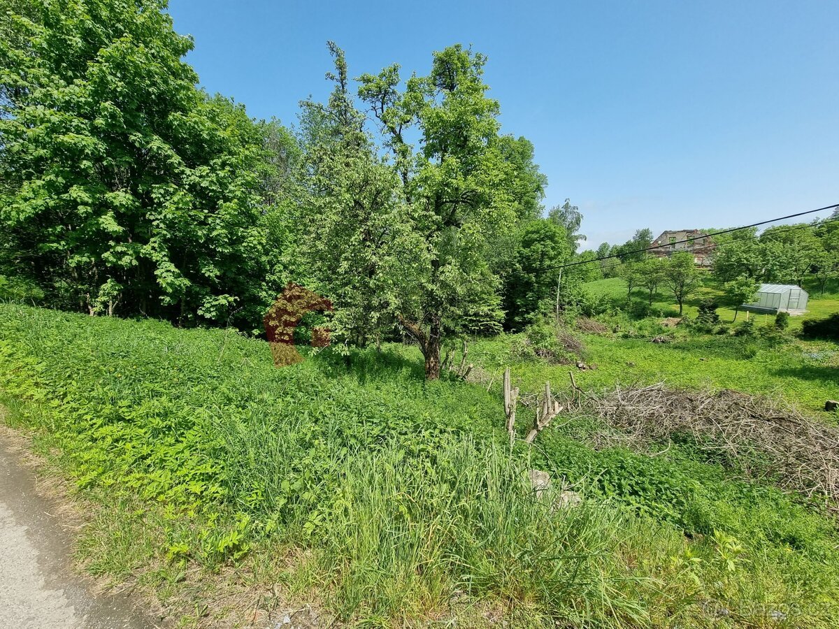 Prodej stavebního pozemku 2978 m2 Písečná - Studený zejf, ok