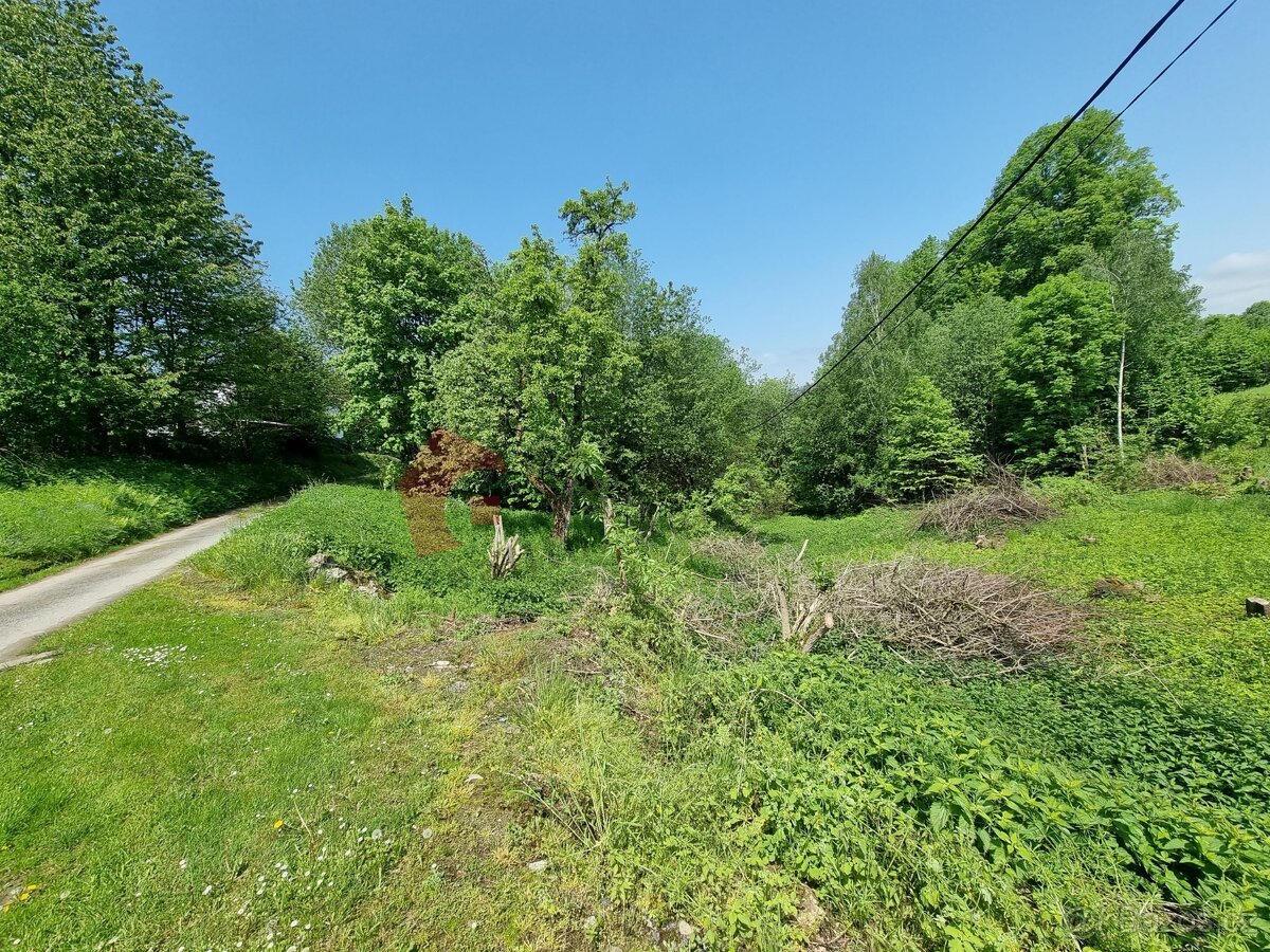 Prodej stavebního pozemku 2978 m2 Písečná - Studený zejf, ok