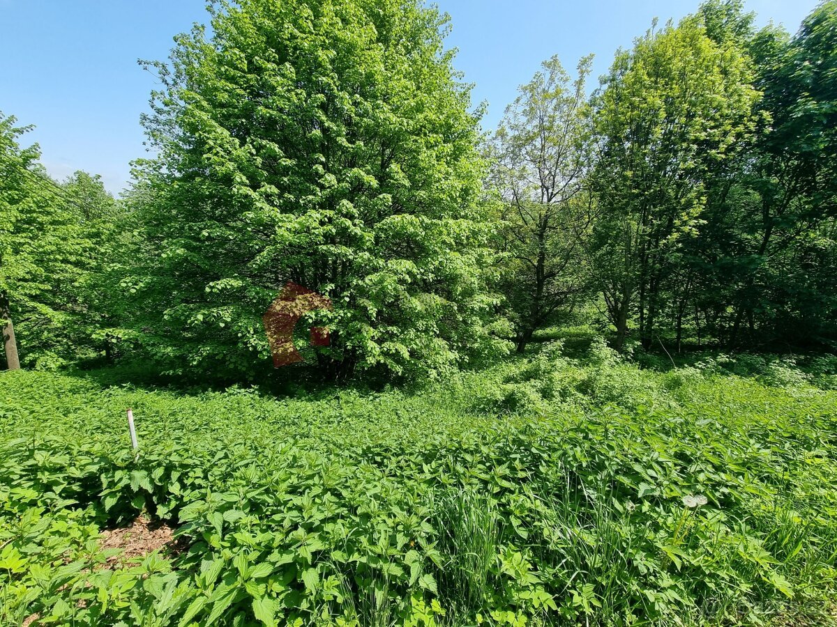 Prodej stavebního pozemku 2978 m2 Písečná - Studený zejf, ok