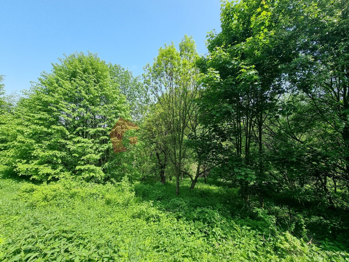 Prodej stavebního pozemku 2978 m2 Písečná - Studený zejf, ok