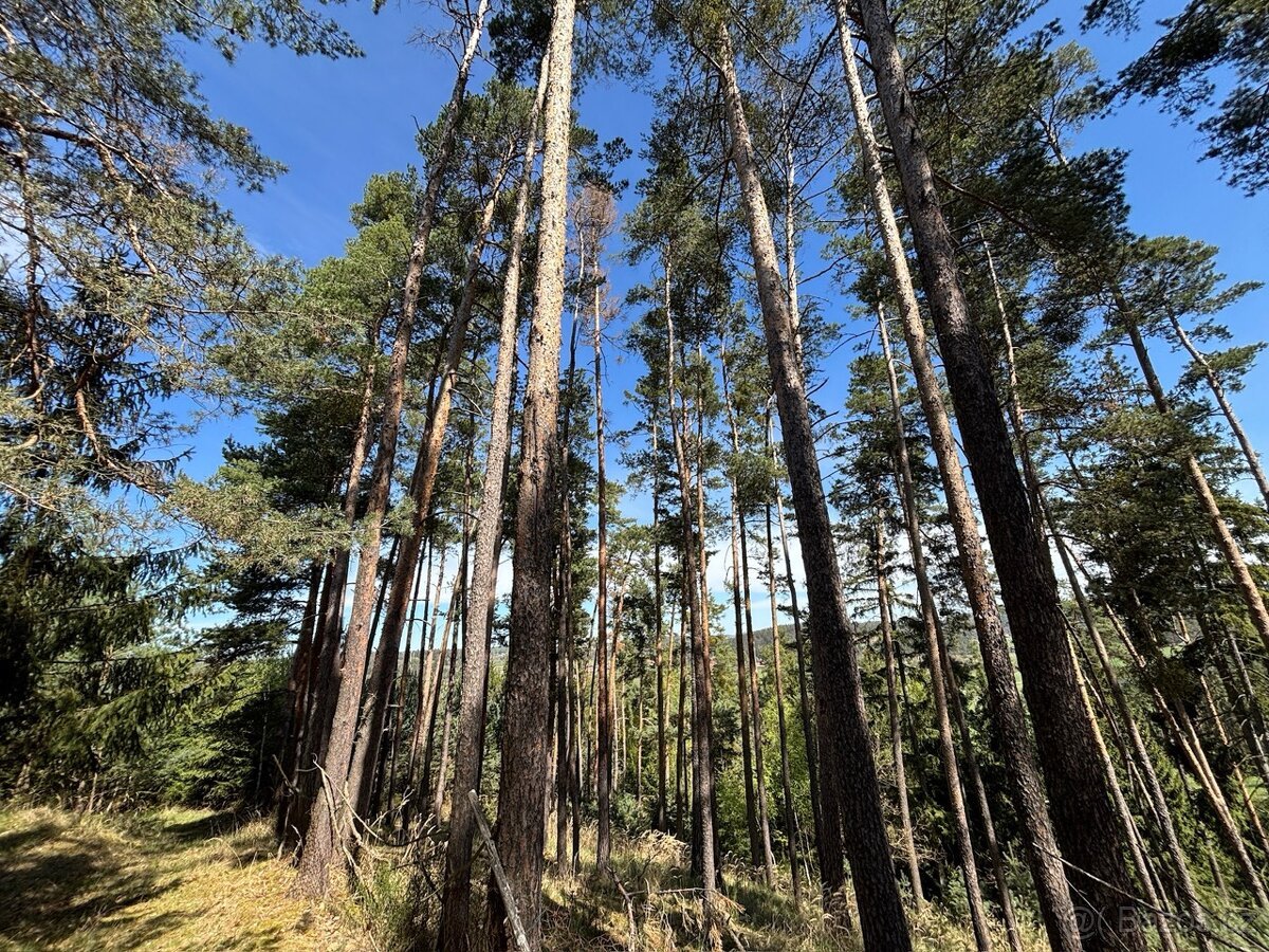 Prodej, pozemek, 23 096 m,  21, Obory, Česko