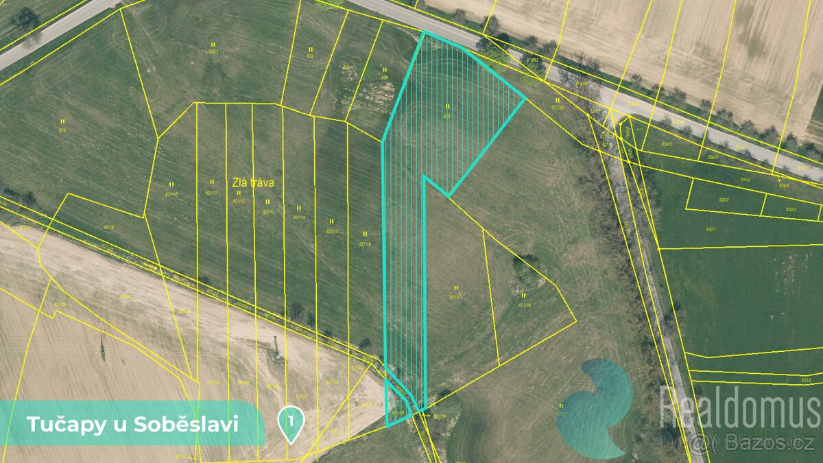 Zemědělská půda 11561 m² – Tučapy u Soběslavi, okres Tábor (