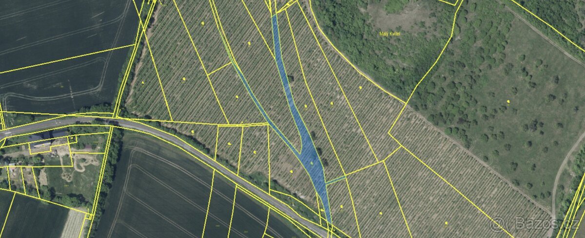 Prodej zahrady a ovocného sadu, 3900m²