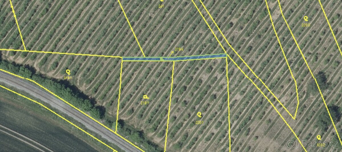 Prodej zahrady a ovocného sadu, 3900m²