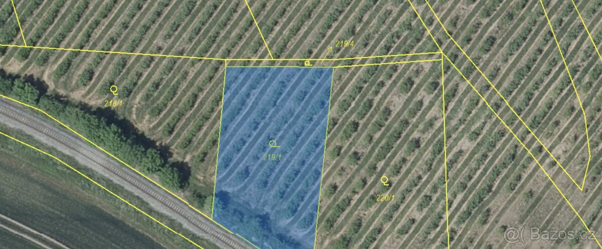 Prodej zahrady a ovocného sadu, 3900m²
