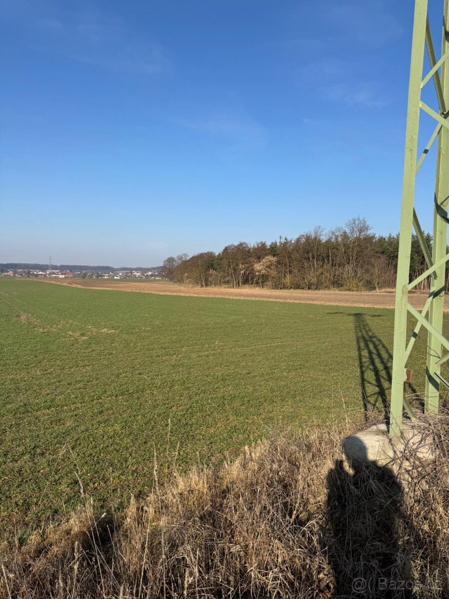 Prodej lesních pozemků k.ú. Sojovice