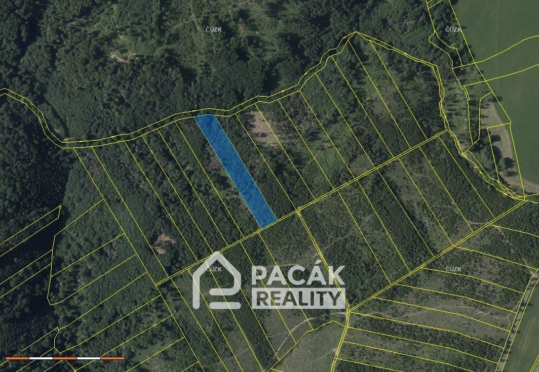 Prodej lesa v Dolanech u Olomouce, výměra 41.845m2