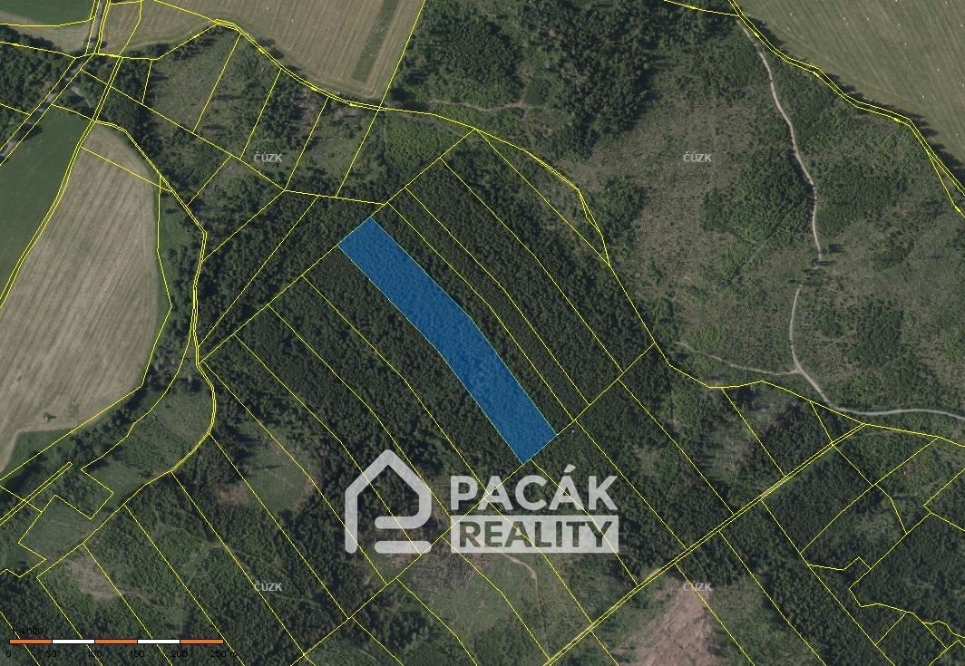 Prodej lesa v Dolanech u Olomouce, výměra 41.845m2