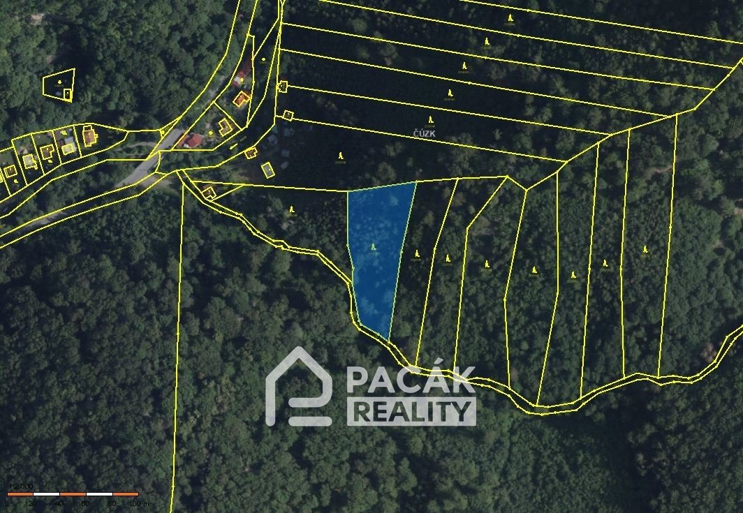 Prodej lesa v Dolanech u Olomouce, výměra 41.845m2