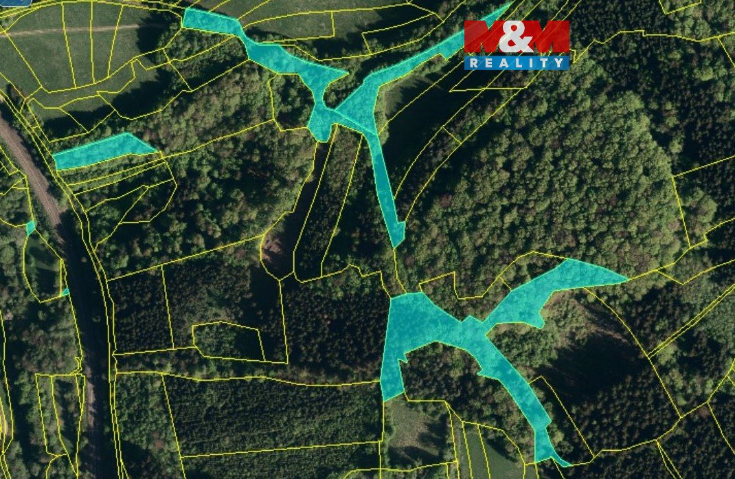 Prodej lesa, 10226 m², Lužná u Vsetína