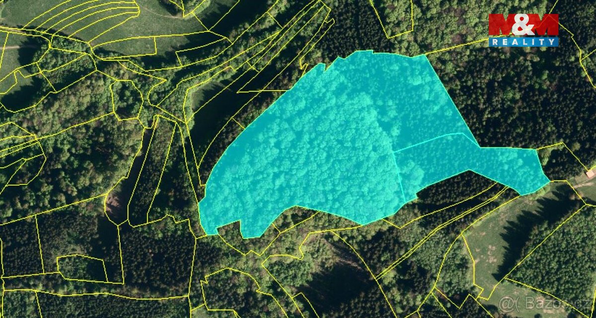 Prodej lesa, 10226 m², Lužná u Vsetína