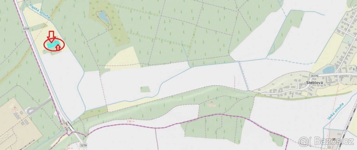 Prodej lesních pozemků k.ú. Stéblová (2)
