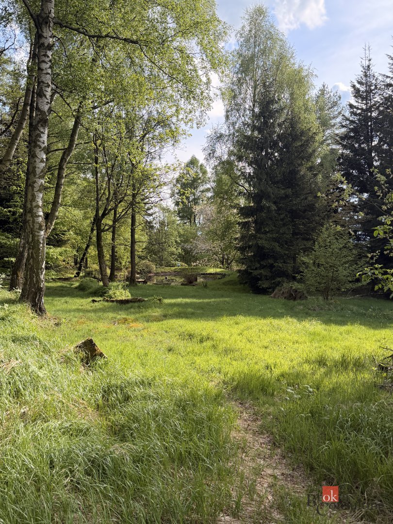 Prodej, pozemky/louka, 8717 m2, Albrechtice u Frýdlantu 166,