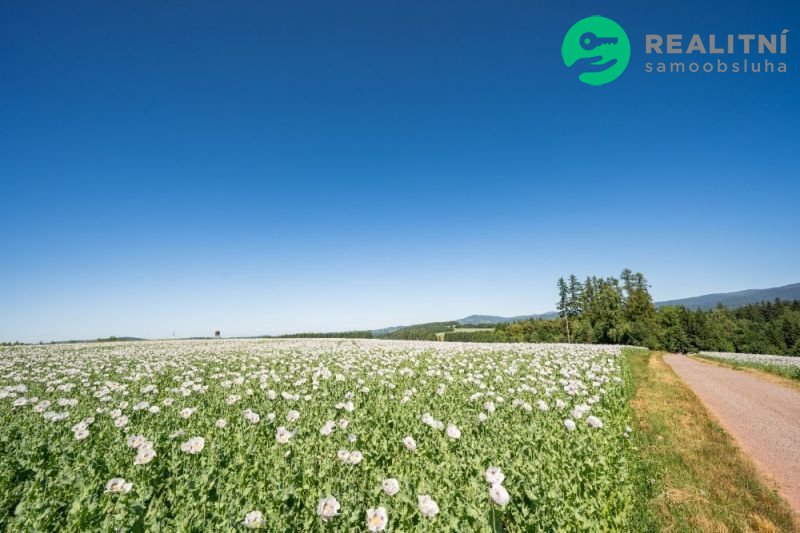 Zemědělský pozemek Prosečné