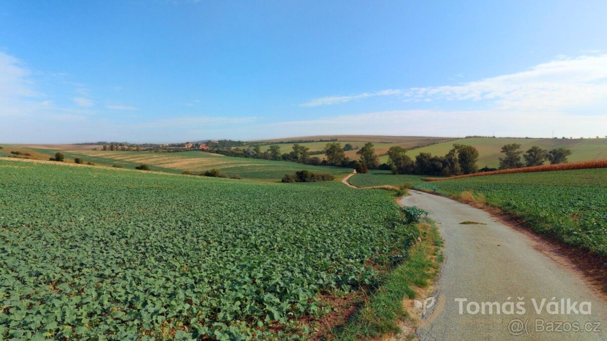 Prodej podílu na polích v kú Nenkovice – 2 909 m²