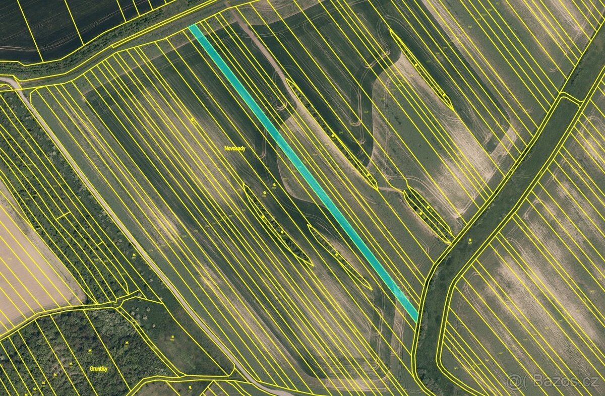 Prodej podílu na polích v kú Nenkovice – 2 909 m²