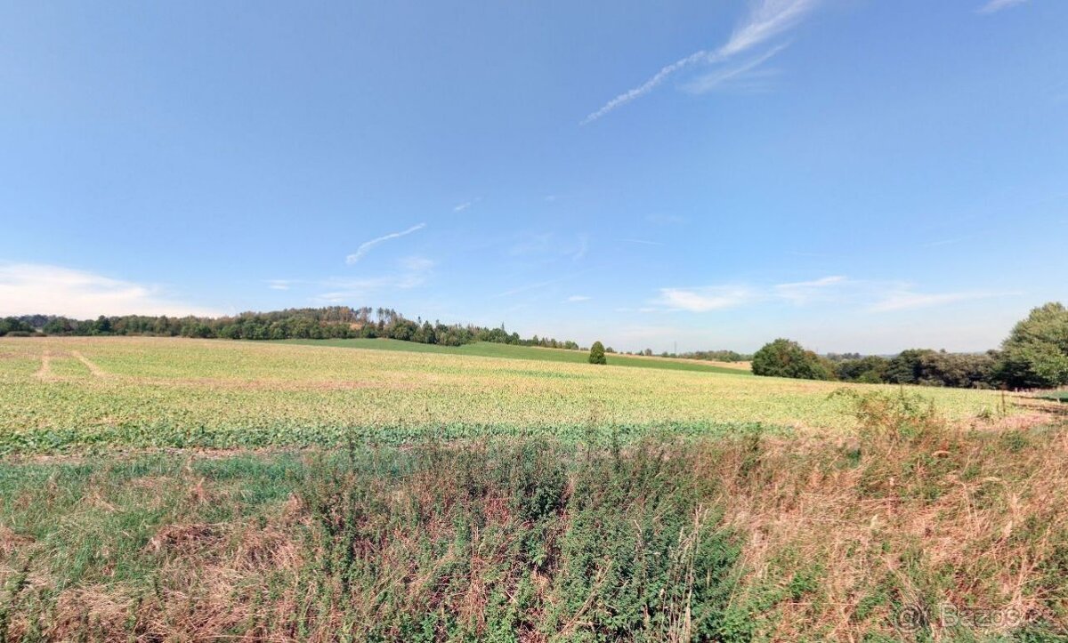 Zemědělská půda, prodej, Oslavička, Žďár nad Sázavou