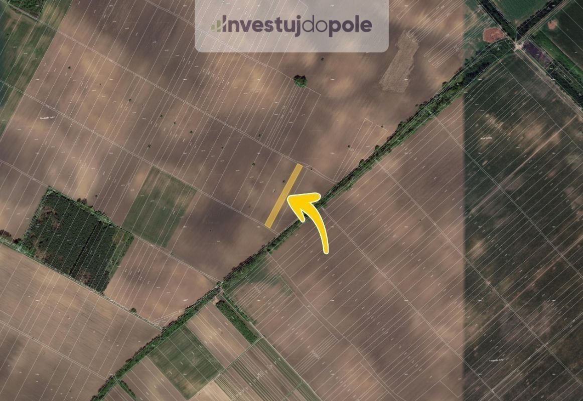 Prodej podílu 1/2 pole 1 483 m², Hrušky, ev.č. 2025-06-09