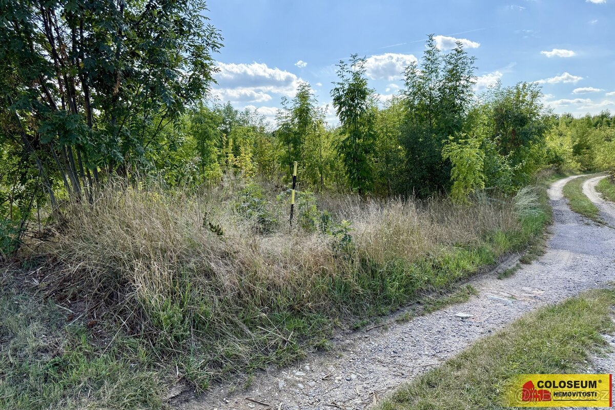 Znojmo - pozemek, komerční výstavba 21.190m2 - pozemek