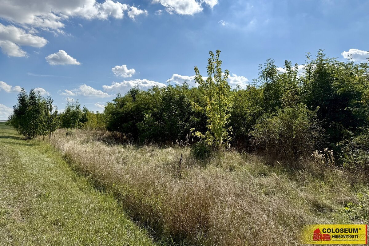 Znojmo - pozemek, komerční výstavba 21.190m2 - pozemek