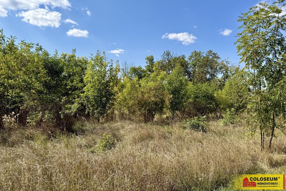 Znojmo - pozemek, komerční výstavba 21.190m2 - pozemek