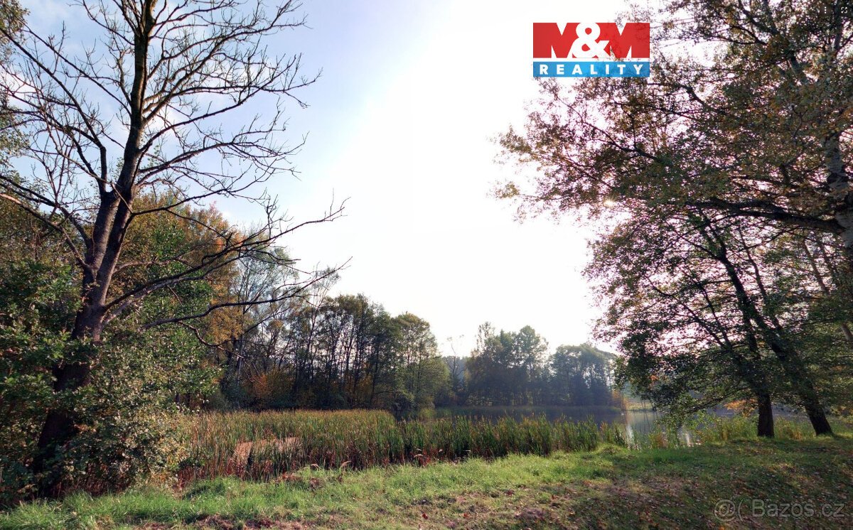 Prodej louky, 7011 m², Petrovice