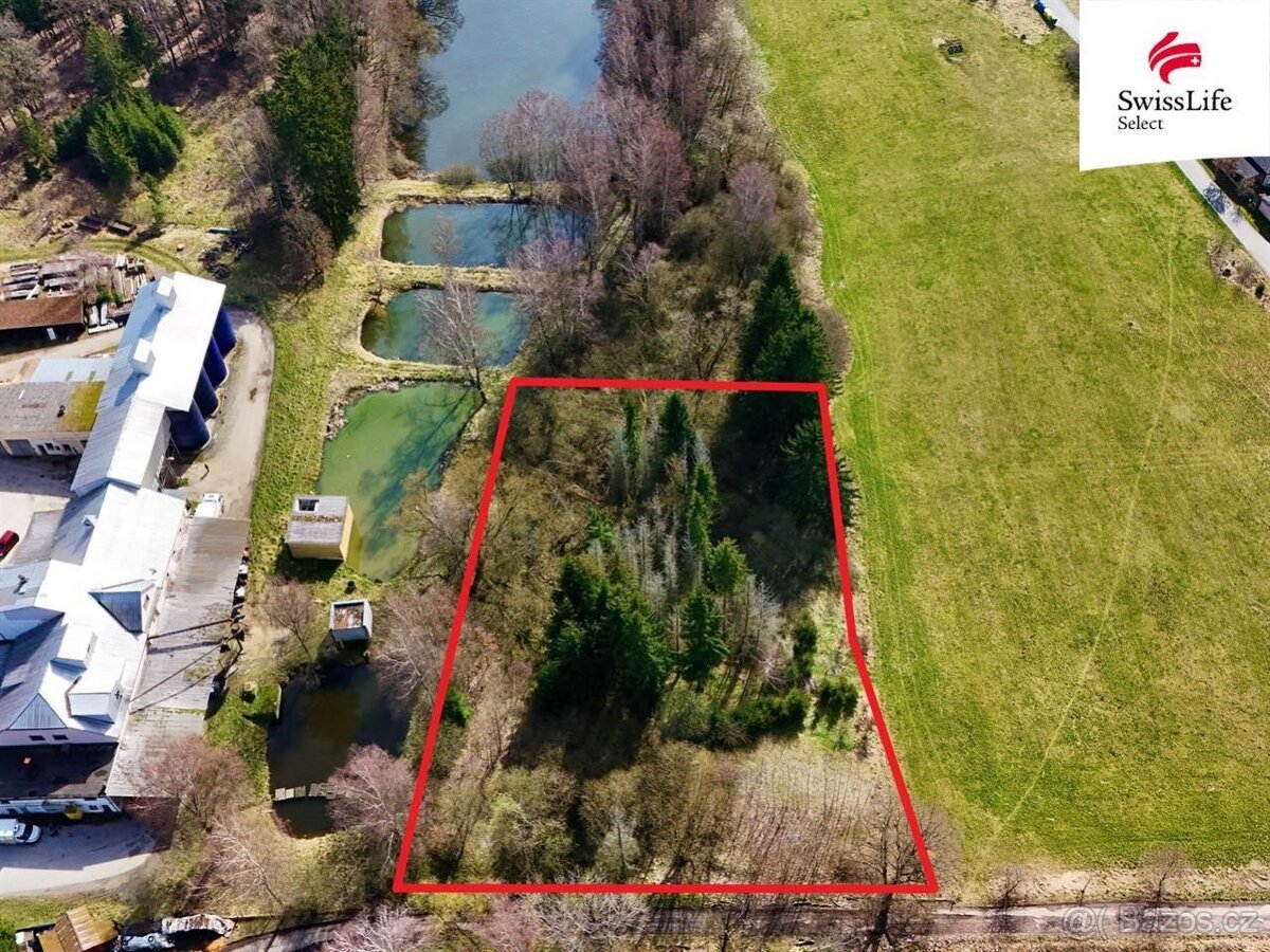 Prodej lesa 4442 m2, Rodvínov