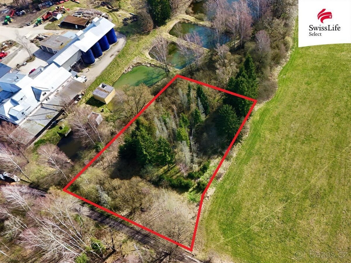 Prodej lesa 4442 m2, Rodvínov